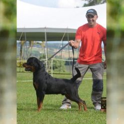 Darco Messi Von BR Olivio